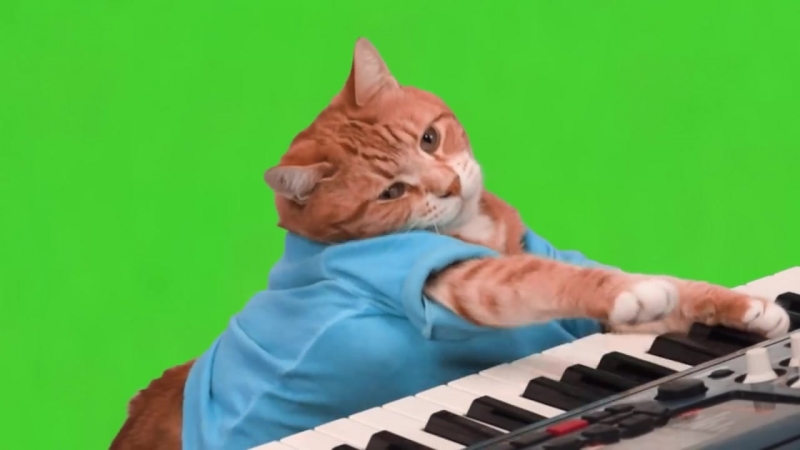Make Your Own Keyboard Cat
