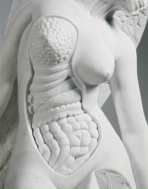 Anatomy of an Angel by British artist 