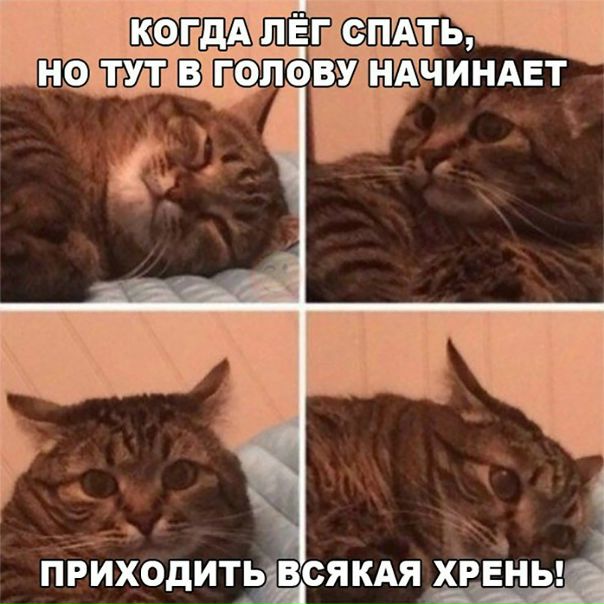 Прикол про С детьми в желтых дождевиках всегда происходит всякая хрень  Часто - смешная картинка, мем