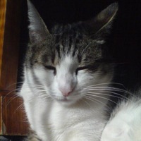 Мира Муркина