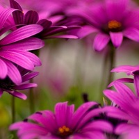 Ольга Шлыкова | Костомукша