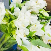 Оля Попова