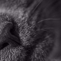 Софья Сонина | Тула