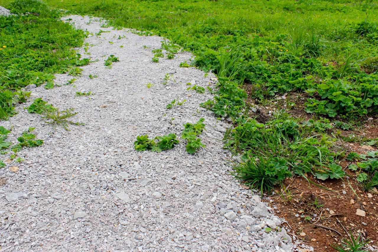 Оленьи ручьи дом с баней - 80 фото