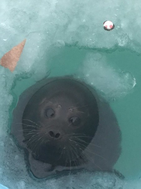 Кафе  "У пани Сони"