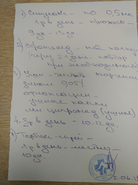 #новости_от_подопечных@vmestepnz_animals #Полина_ID39
Полин