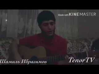 Шамиль Ибрагимов - Донна