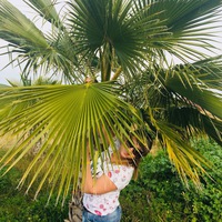 Людмила Миледи