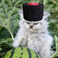 Айрат Хисамов