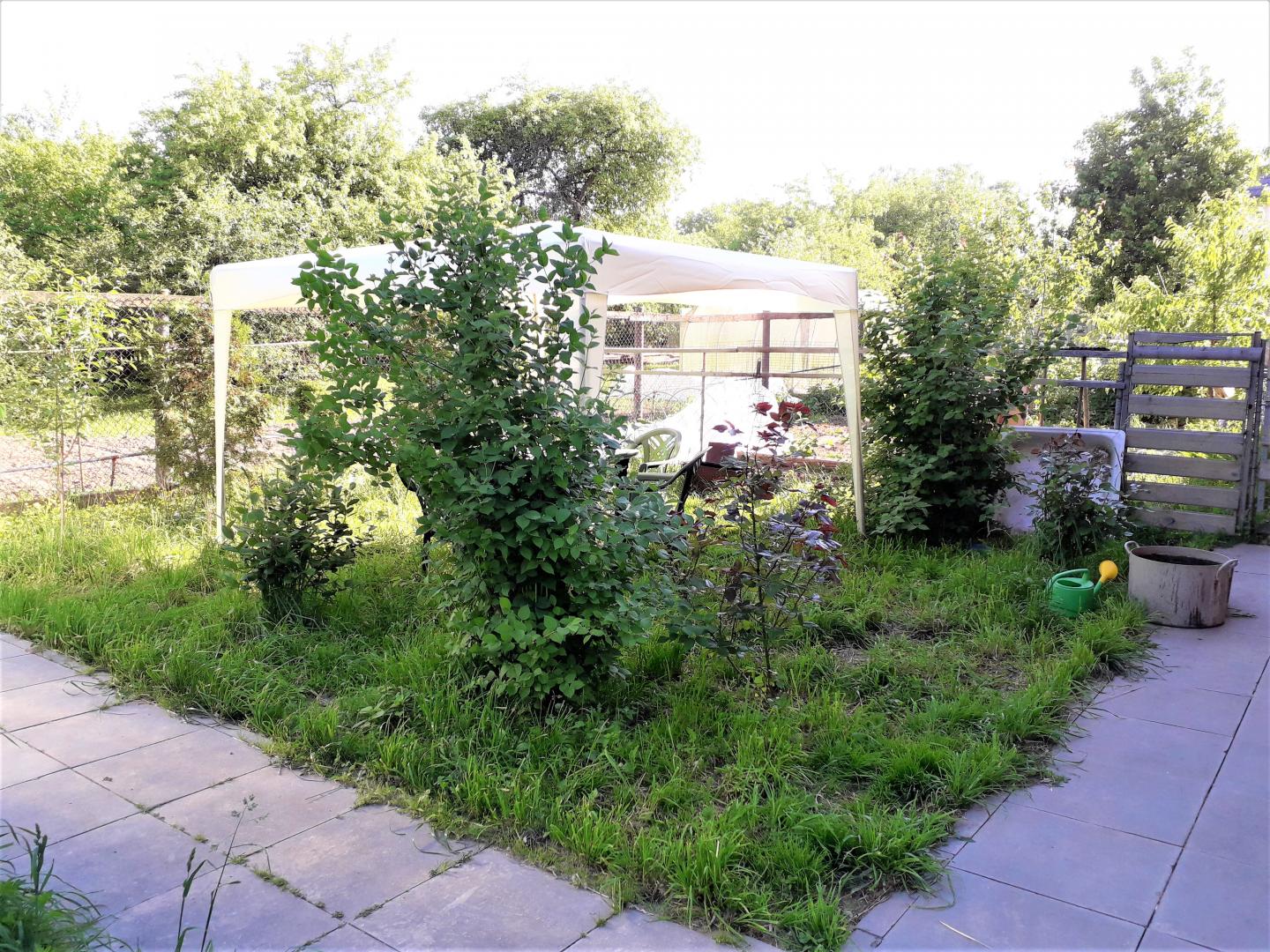 Белые столбы улица авенариуса дом 10