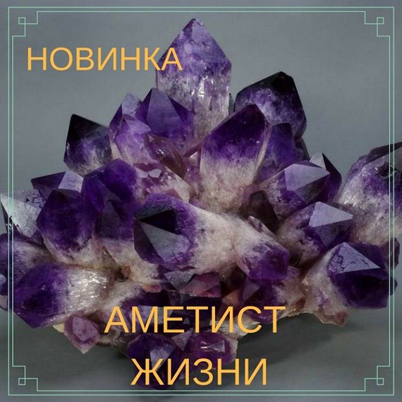 АКЦИЯ АМЕТИСТ ЖИЗНИ. SYlHlF2G5pM