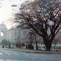 Дуб Пушкина