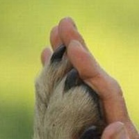 Инна Кирнос