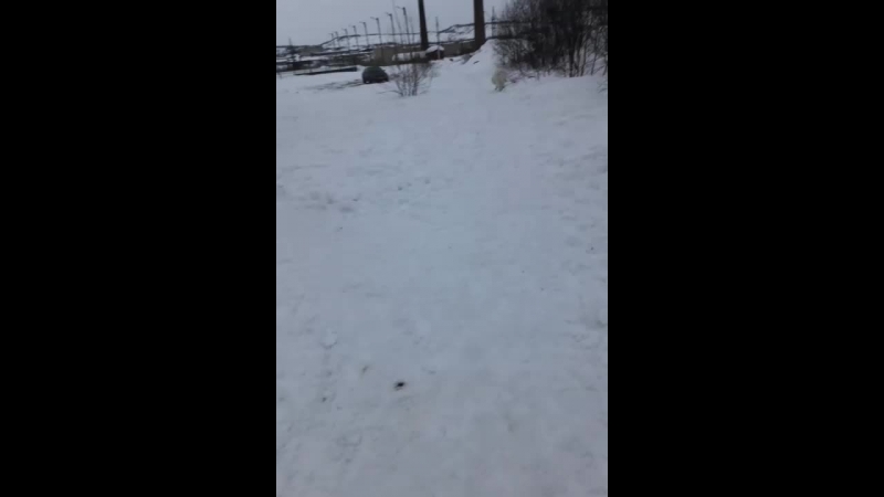 Руслан Конаплёв - Live