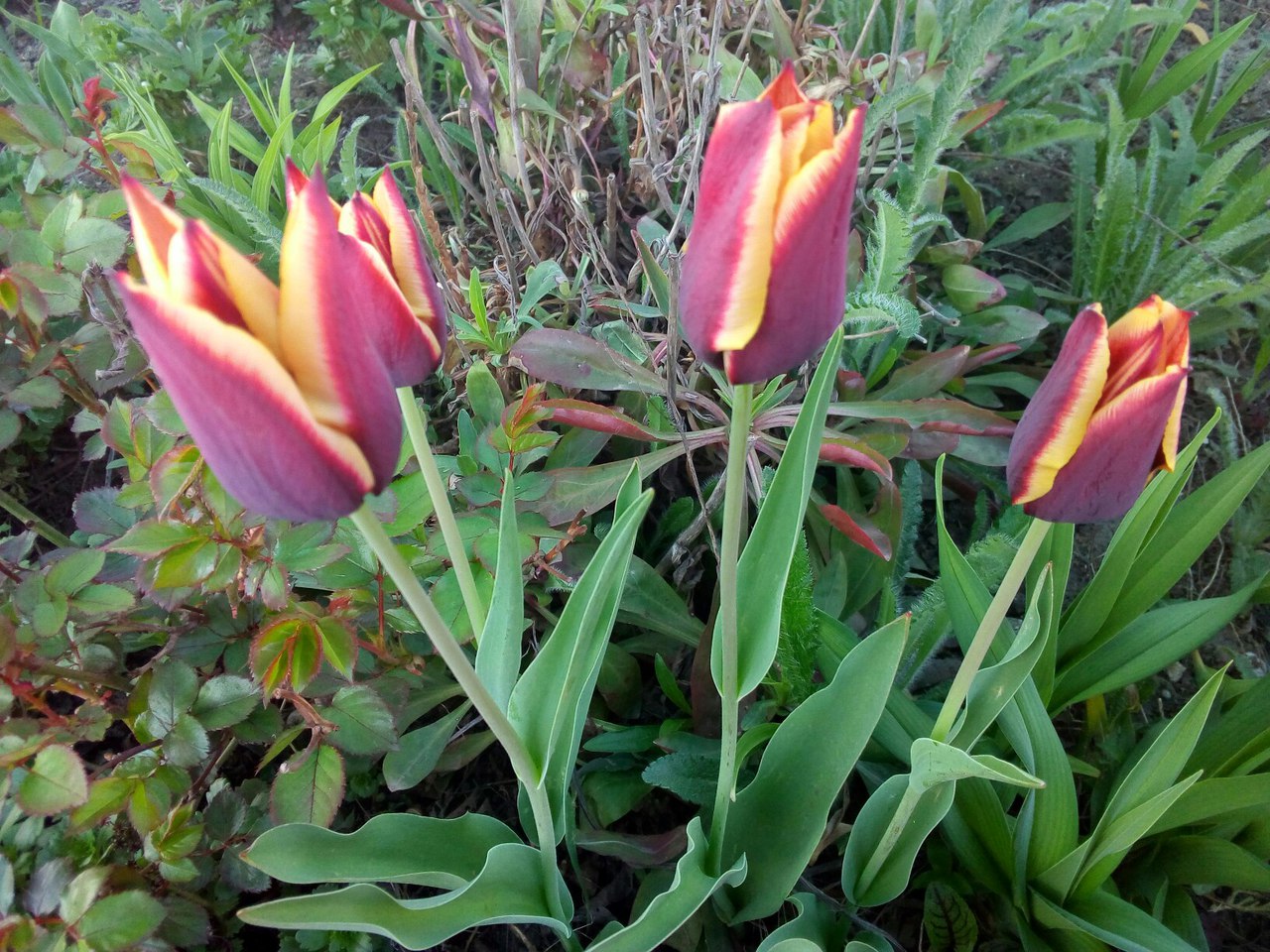 фотография из вКонтакта