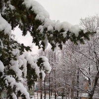 Лариса Федосеева