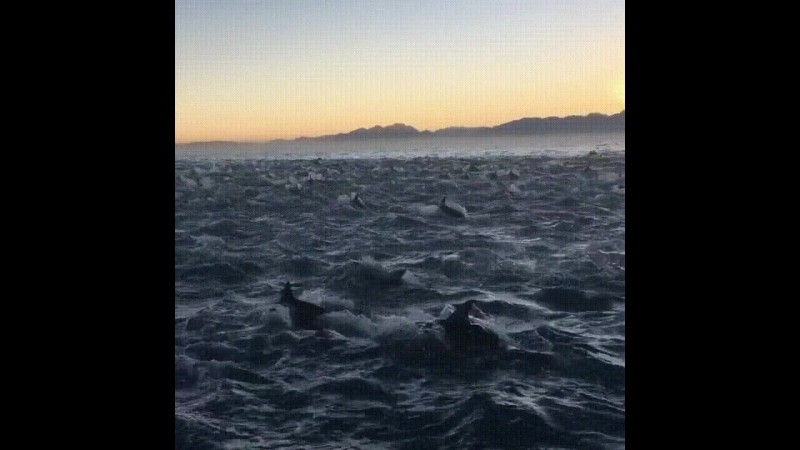 Doc189233513_465857082.mp4