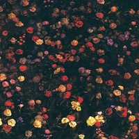 Плафон Крашеный