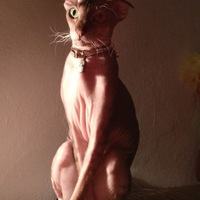 Екатерина Олейникова | Волгоград