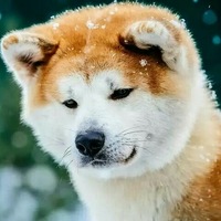 Антон Слюсарь | Златоуст