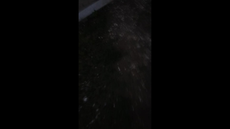 Саид Мусаев — Live