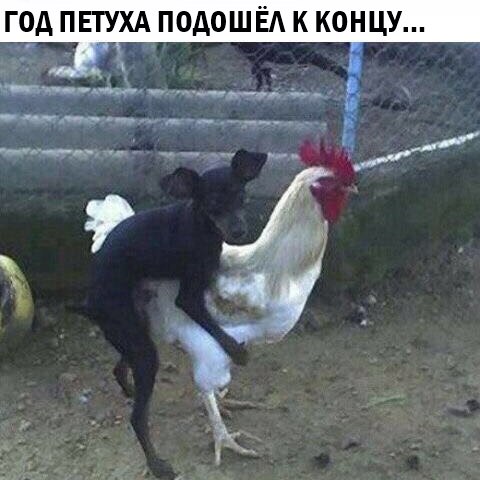 sadFzsrdeGw.jpg
