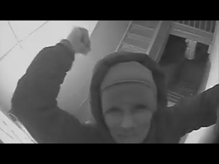 Наказание за опиз*юливание вандала