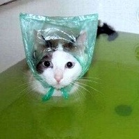 Хельга Патаки