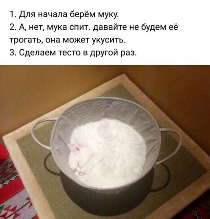 cfcEhfd2Q2E.jpg