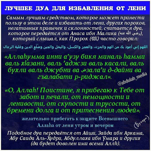 Дуа Продажа В Магазине