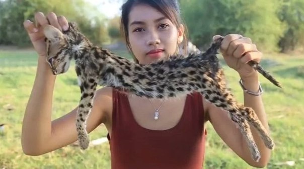 а линь тач блогерша ела животных исчезающего вида, чтобы заработать на просмотрах в youtube.несмотря на всю жестокость видео, пользователи смотрели этот ужас и не сразу поняли, что у них на