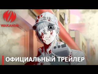 Cells at Work! («Клетки за работой!») — премьера в июле 2018 года, на #WAKANIM!
