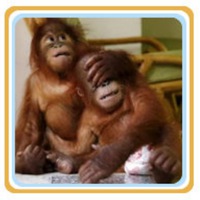 Саня Климов |