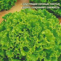 Салат майский король 0.5г сем алт