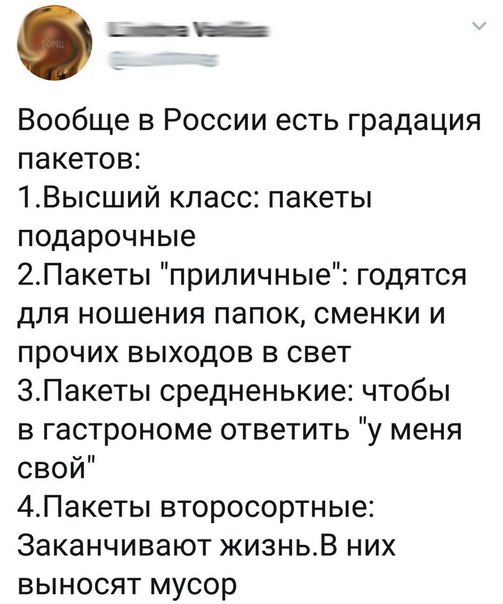 смешные картинки