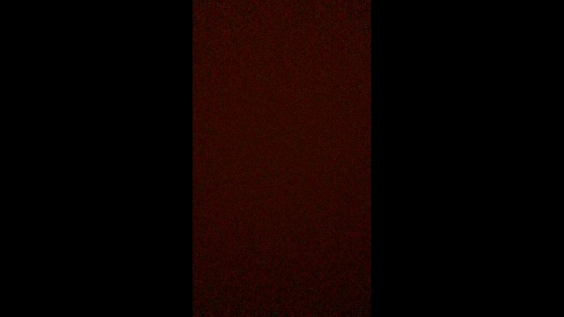 Polinochka Belykh — Live