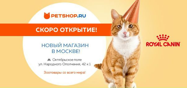 Интернет Магазин Петшоп Зоотовары