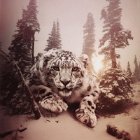 Джейхун Алиев