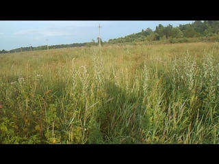 6. Остатки