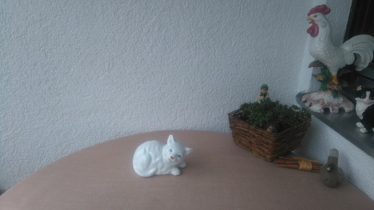 Кошки в нашей жизни. Кошки и все, что с ними связано.