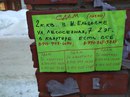 Объявление от Анастасия - фото №1