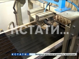 20 миллионов деревьев высадили в нижегородских лесах с начала лета