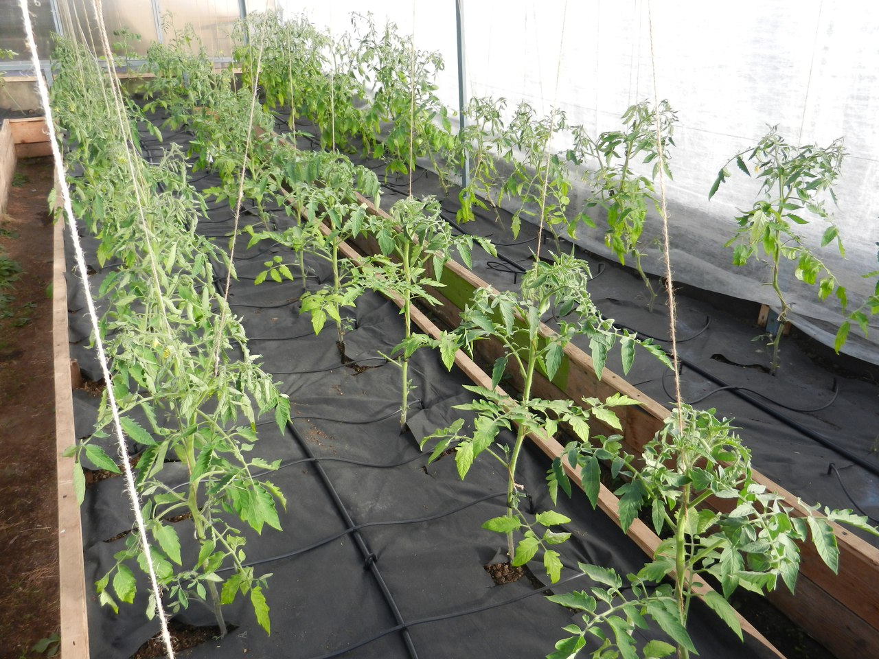 фотография из вКонтакта