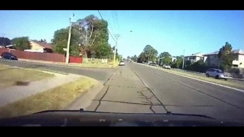 2_5226430575904031525.mp4