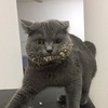 hachaturov_aram
