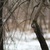 Фото пользователя Анастасия