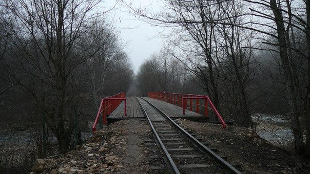https://pp.userapi.com/c824700/v824700070/c94dd/XSJ25DgPo8o.jpg