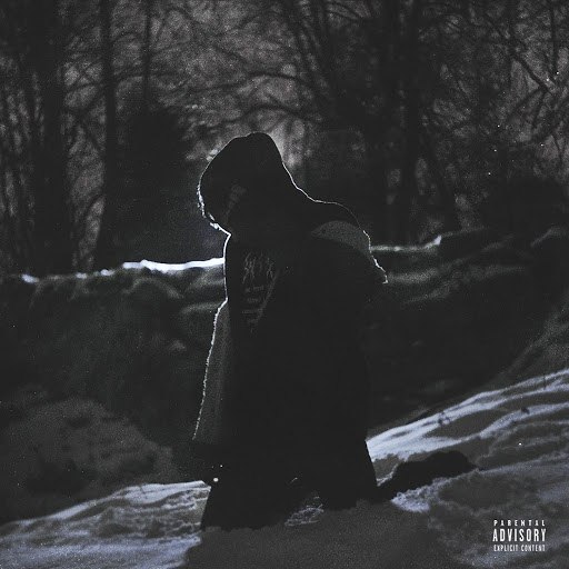 Альбом Lizer Damn Garden