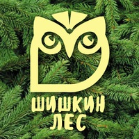 Логотип ГОСТЕВОЙ ДОМ ШИШКИН ЛЕС