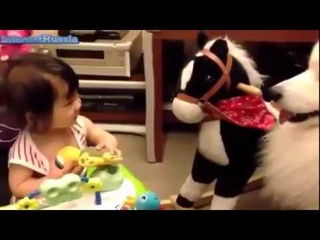 МОИ ЗАБАВНЫЕ ЖИВОТНЫЕ Смешные детки Дети и животные